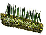 Turf Reinforcement Mats